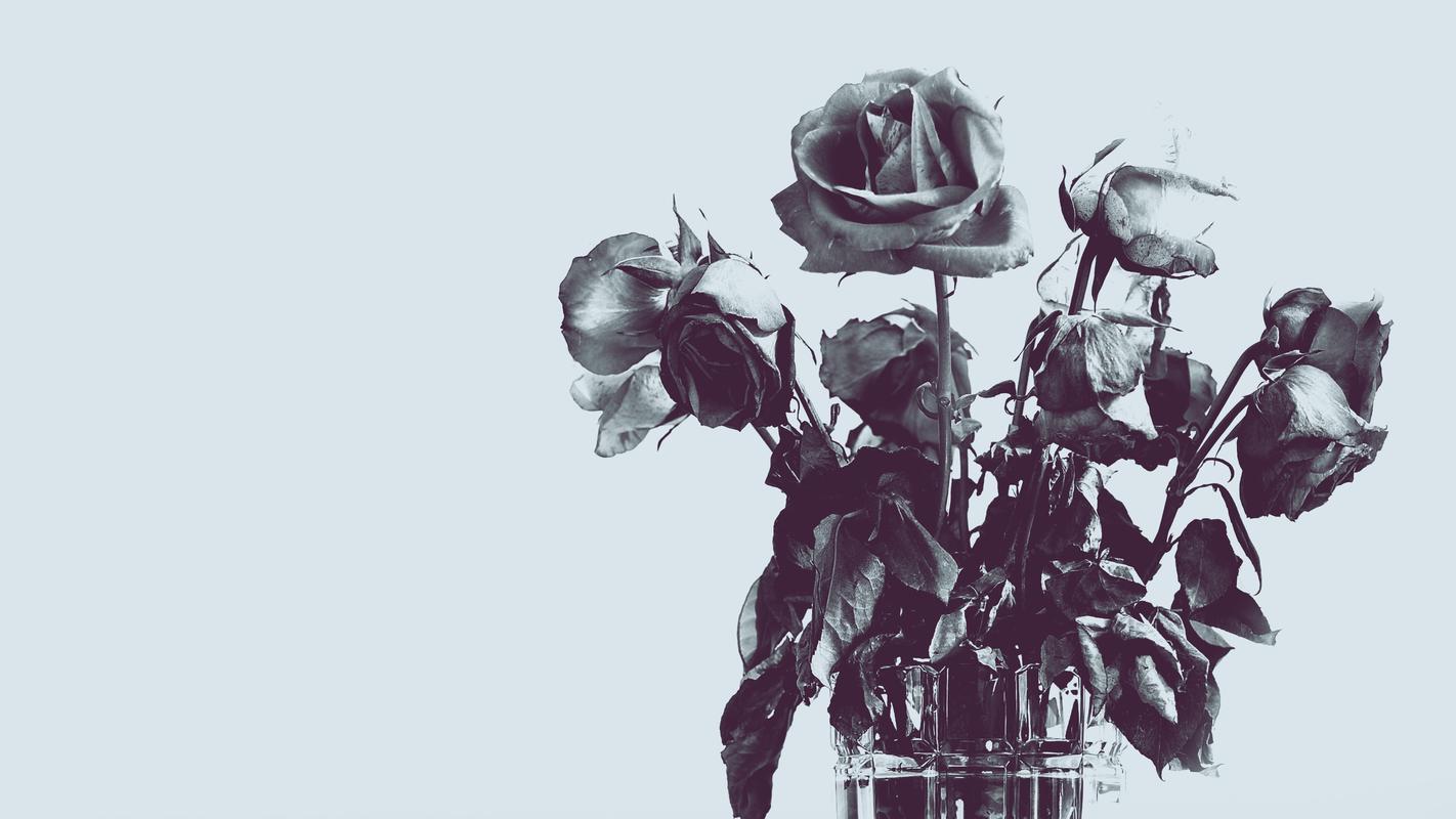 Watch Investigation Discovery Network Online Hulu Free Trial