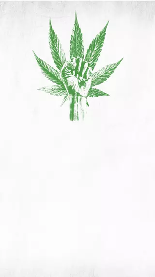 The Marijuana Revolution