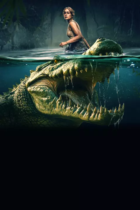 The Bayou