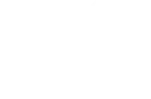 MTV