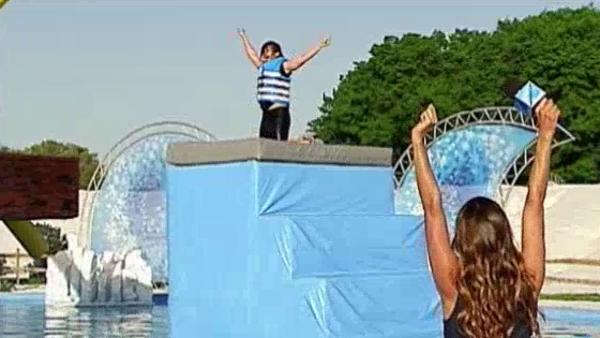 Watch Total Wipeout Streaming Online Hulu Free Trial